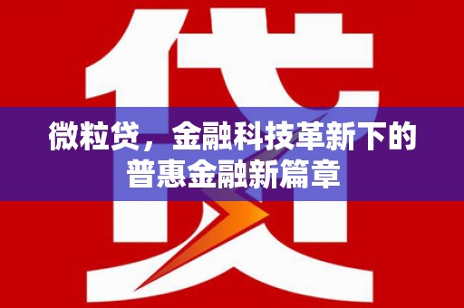 海东微粒贷，金融科技革新下的普惠金融新篇章