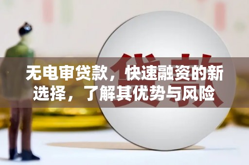 海东无电审贷款，快速融资的新选择，了解其优势与风险