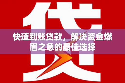 海东快速到账贷款，解决资金燃眉之急的最佳选择