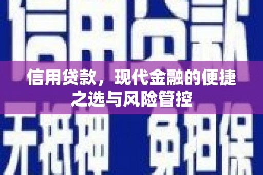 海东信用贷款，现代金融的便捷之选与风险管控