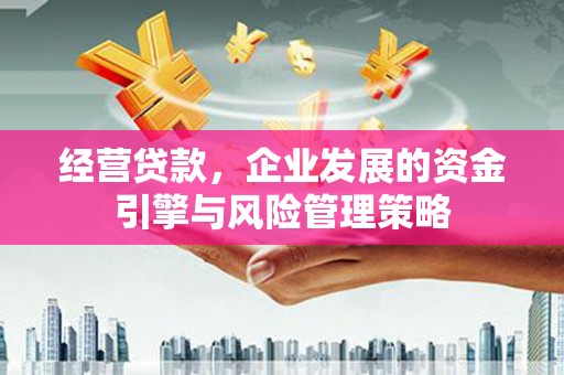 海东经营贷款，企业发展的资金引擎与风险管理策略
