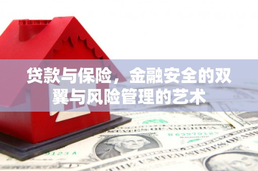 海东贷款与保险，金融安全的双翼与风险管理的艺术