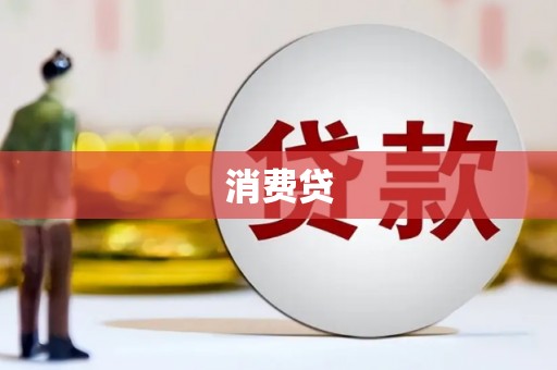 海东消费贷