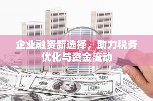 海东企业融资新选择，助力税务优化与资金流动