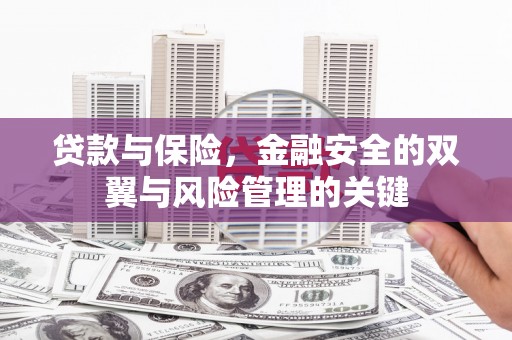 海东贷款与保险，金融安全的双翼与风险管理的关键