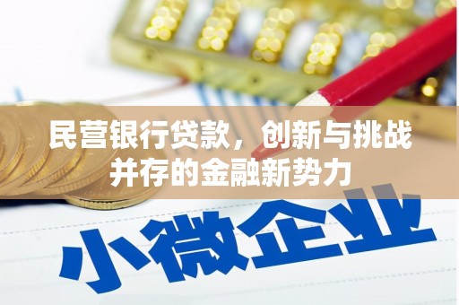 海东民营银行贷款，创新与挑战并存的金融新势力