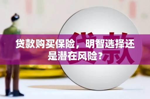 海东贷款购买保险，明智选择还是潜在风险？