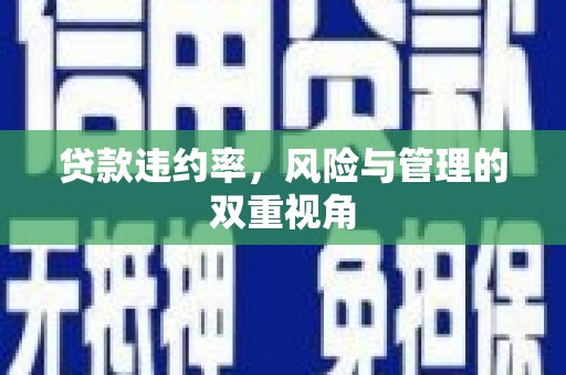 海东贷款违约率，风险与管理的双重视角