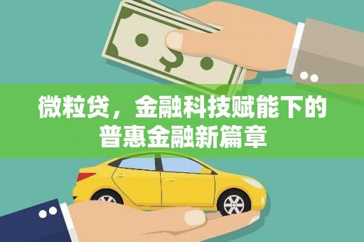 海东微粒贷，金融科技赋能下的普惠金融新篇章