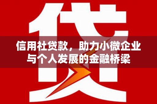 海东信用社贷款，助力小微企业与个人发展的金融桥梁