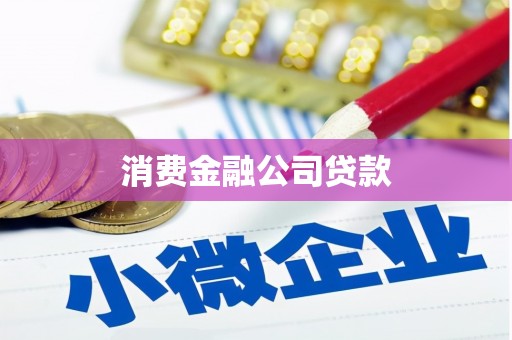 海东消费金融公司贷款