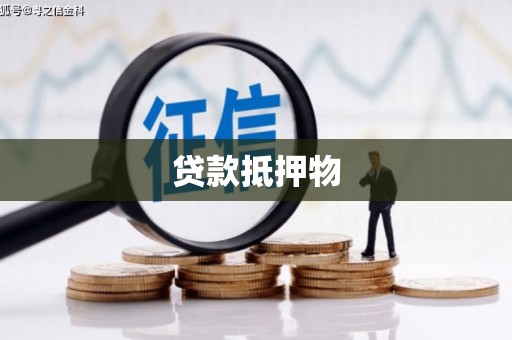 海东贷款抵押物