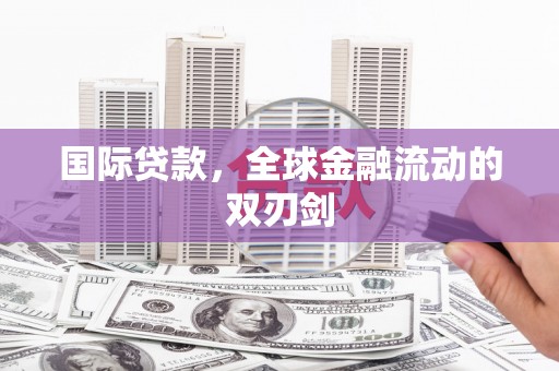 海东国际贷款，全球金融流动的双刃剑