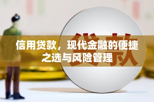 海东信用贷款，现代金融的便捷之选与风险管理