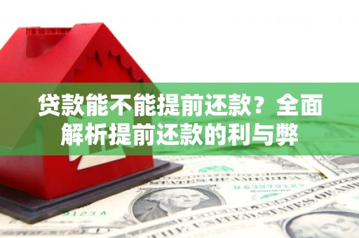 海东贷款能不能提前还款？全面解析提前还款的利与弊