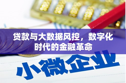 海东贷款与大数据风控，数字化时代的金融革命
