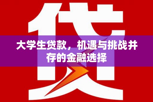 海东大学生贷款，机遇与挑战并存的金融选择