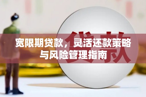 海东宽限期贷款，灵活还款策略与风险管理指南
