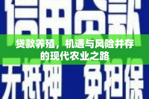 海东贷款养殖，机遇与风险并存的现代农业之路