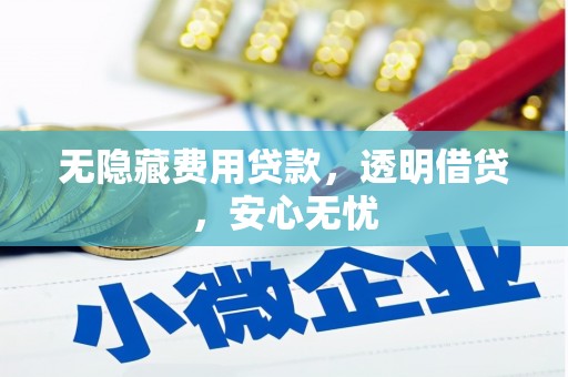 海东无隐藏费用贷款，透明借贷，安心无忧