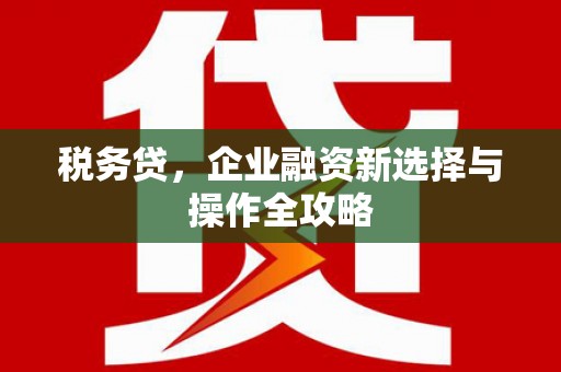 海东税务贷，企业融资新选择与操作全攻略