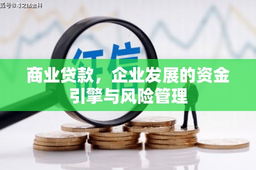 海东商业贷款，企业发展的资金引擎与风险管理