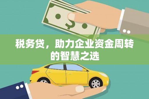海东税务贷，助力企业资金周转的智慧之选