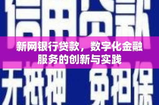 海东新网银行贷款，数字化金融服务的创新与实践