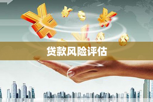 海东贷款风险评估