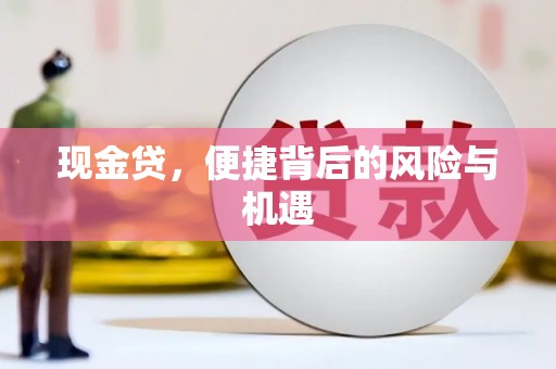 海东现金贷，便捷背后的风险与机遇