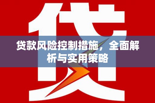 海东贷款风险控制措施，全面解析与实用策略