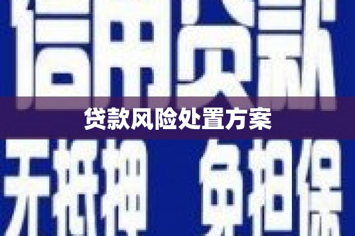 海东贷款风险处置方案