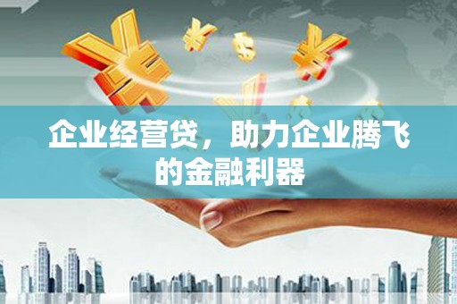 海东企业经营贷，助力企业腾飞的金融利器