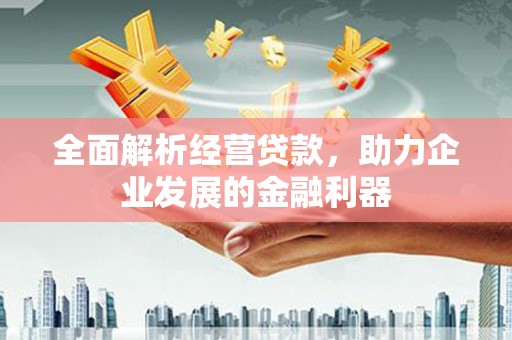 海东全面解析经营贷款，助力企业发展的金融利器