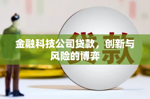 海东金融科技公司贷款，创新与风险的博弈