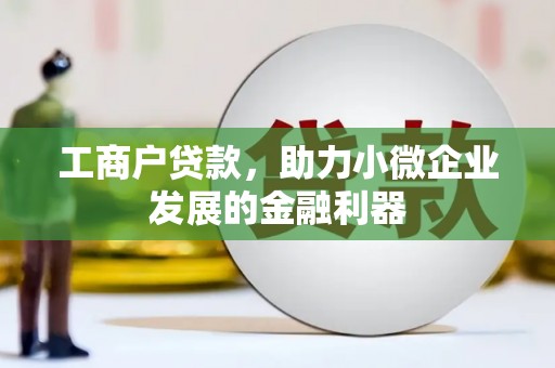 海东工商户贷款，助力小微企业发展的金融利器