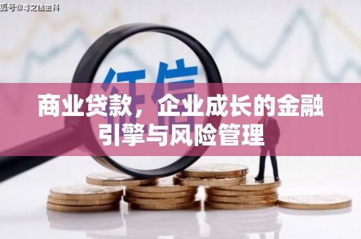 海东商业贷款，企业成长的金融引擎与风险管理