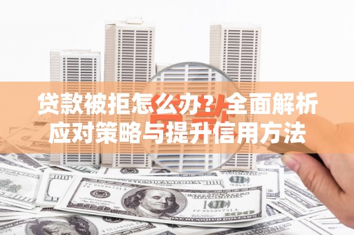 海东贷款被拒怎么办？全面解析应对策略与提升信用方法