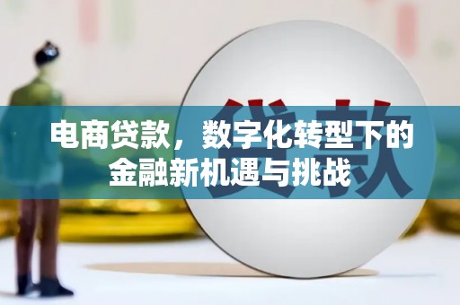 海东电商贷款，数字化转型下的金融新机遇与挑战