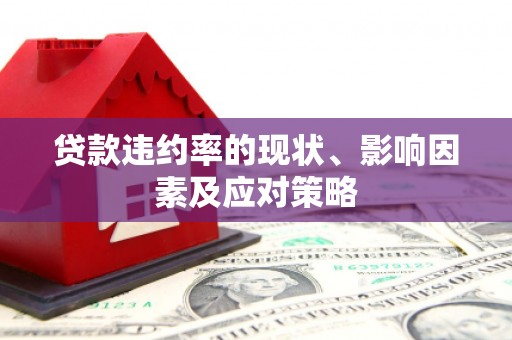 海东贷款违约率的现状、影响因素及应对策略