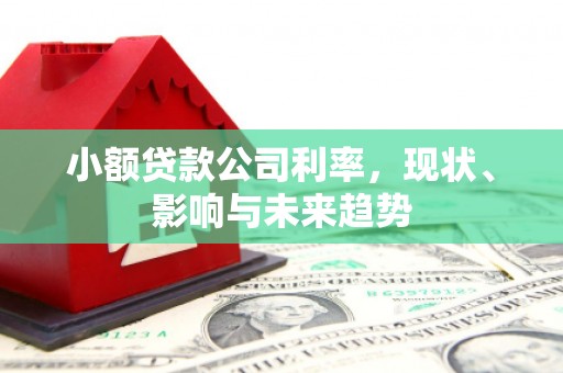 海东小额贷款公司利率，现状、影响与未来趋势