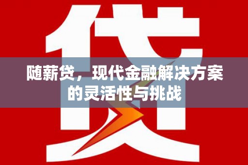 海东随薪贷，现代金融解决方案的灵活性与挑战