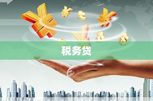 海东税务贷