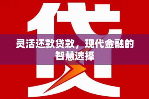海东灵活还款贷款，现代金融的智慧选择