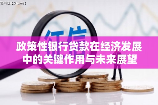 海东政策性银行贷款在经济发展中的关键作用与未来展望