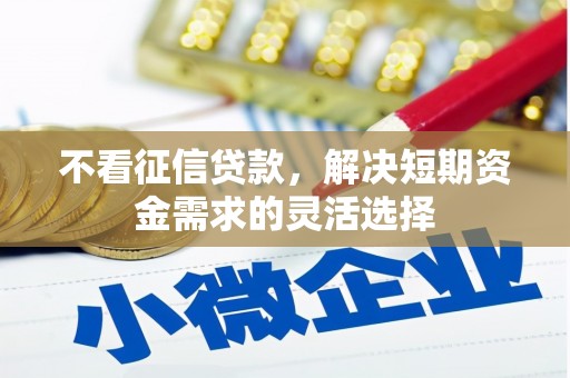 海东不看征信贷款，解决短期资金需求的灵活选择