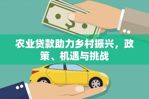 海东农业贷款助力乡村振兴，政策、机遇与挑战