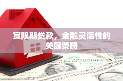 海东宽限期贷款，金融灵活性的关键策略