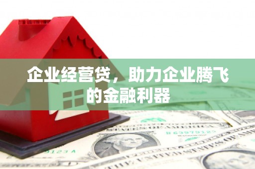 海东企业经营贷，助力企业腾飞的金融利器