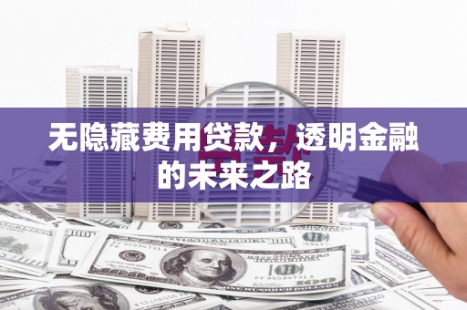 海东无隐藏费用贷款，透明金融的未来之路